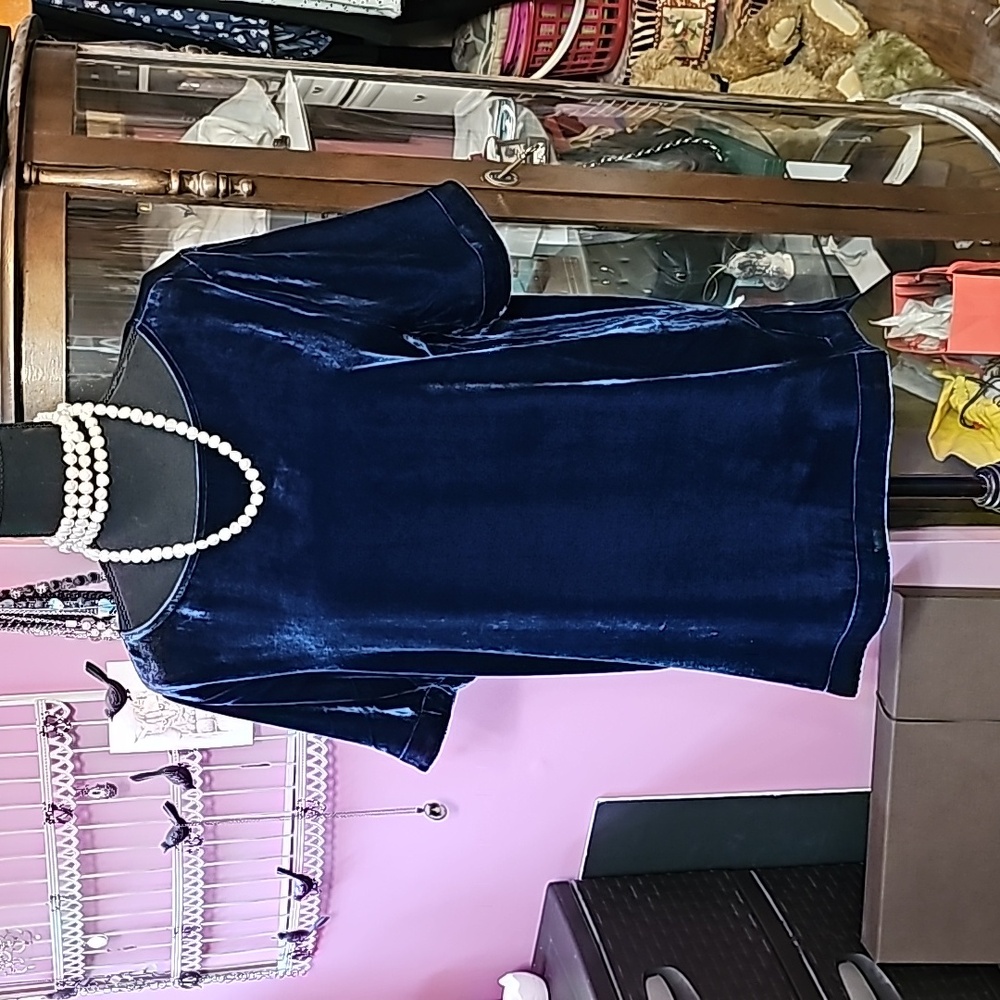 Sundance velvet top